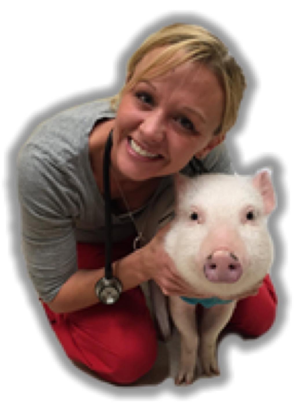 Northarlington Animal Clinic, Columbus Ohio